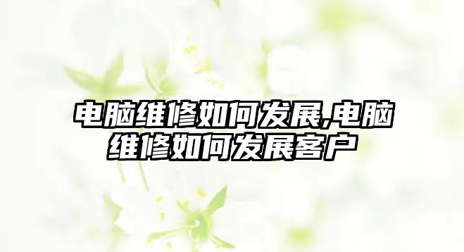 電腦維修如何發(fā)展,電腦維修如何發(fā)展客戶