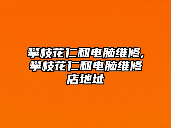 攀枝花仁和電腦維修,攀枝花仁和電腦維修店地址