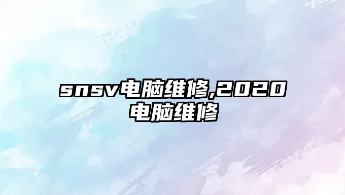 snsv電腦維修,2020電腦維修