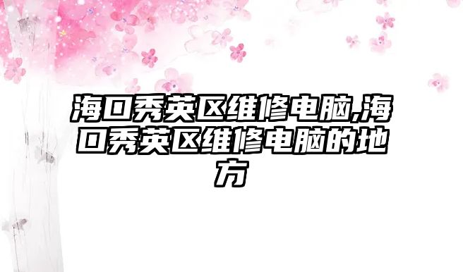 海口秀英區維修電腦,海口秀英區維修電腦的地方