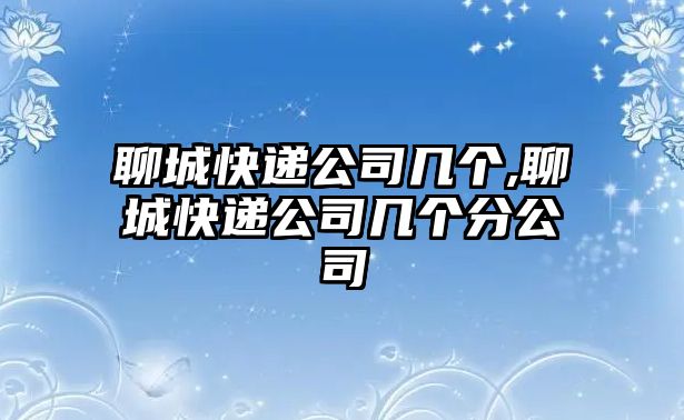 聊城快遞公司幾個,聊城快遞公司幾個分公司