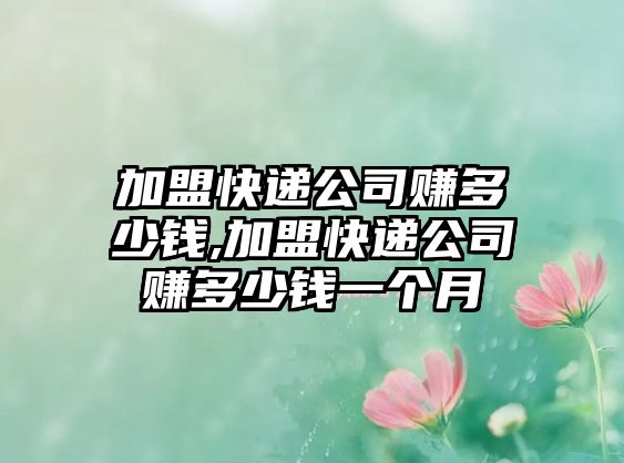 加盟快遞公司賺多少錢,加盟快遞公司賺多少錢一個月