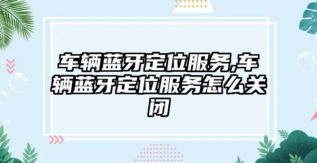 車輛藍牙定位服務,車輛藍牙定位服務怎么關閉