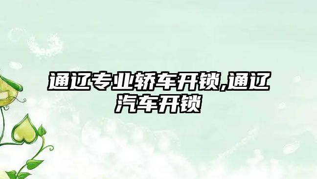 通遼專業轎車開鎖,通遼汽車開鎖