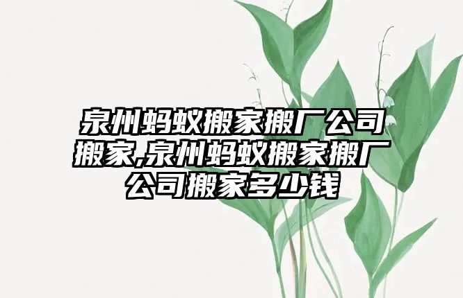 泉州螞蟻搬家搬廠公司搬家,泉州螞蟻搬家搬廠公司搬家多少錢