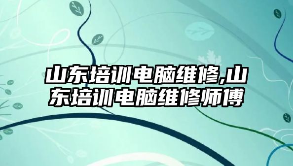 山東培訓電腦維修,山東培訓電腦維修師傅