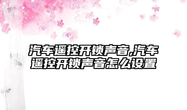 汽車遙控開鎖聲音,汽車遙控開鎖聲音怎么設(shè)置