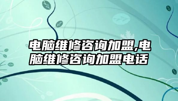 電腦維修咨詢加盟,電腦維修咨詢加盟電話