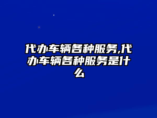 代辦車輛各種服務,代辦車輛各種服務是什么