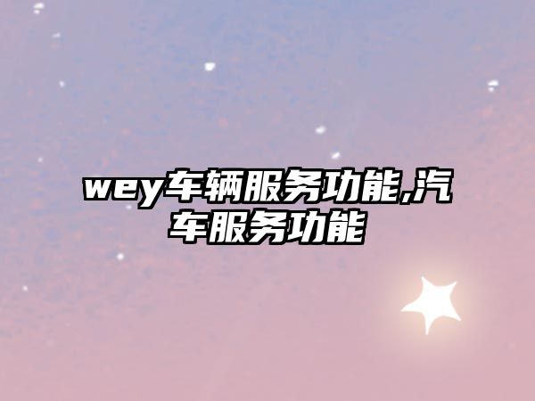 wey車輛服務功能,汽車服務功能