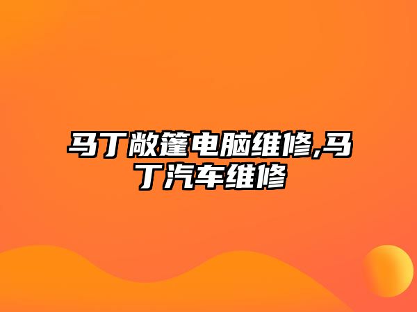 馬丁敞篷電腦維修,馬丁汽車維修