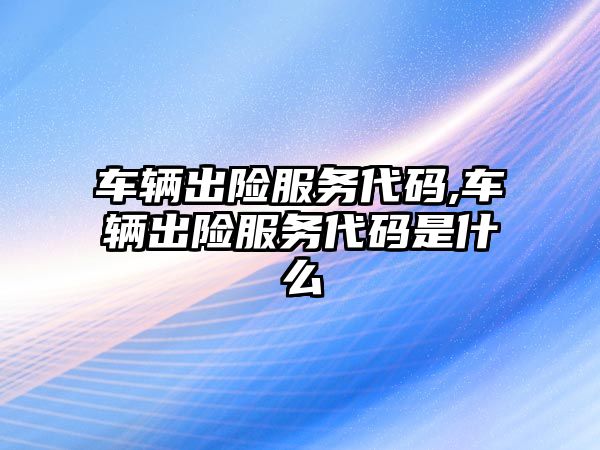 車輛出險服務(wù)代碼,車輛出險服務(wù)代碼是什么