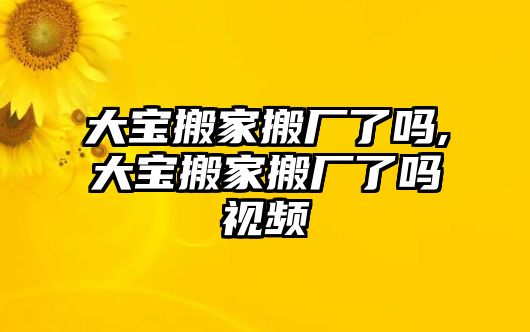 大寶搬家搬廠了嗎,大寶搬家搬廠了嗎視頻