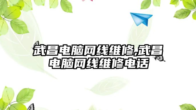 武昌電腦網線維修,武昌電腦網線維修電話