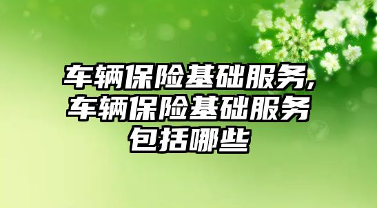 車輛保險基礎服務,車輛保險基礎服務包括哪些