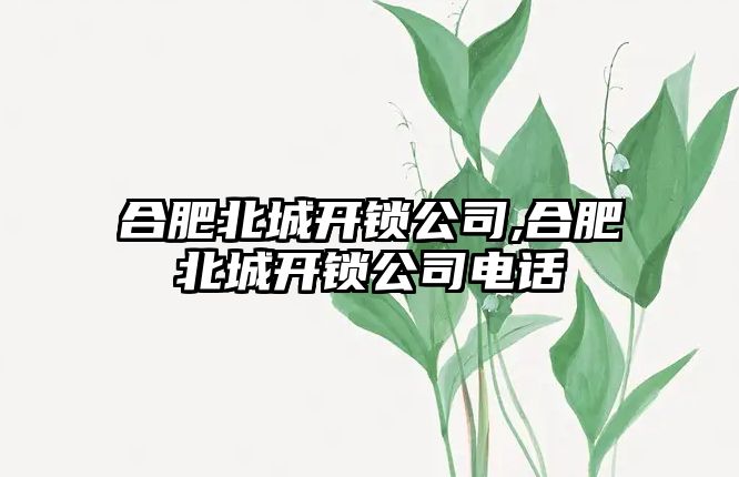 合肥北城開鎖公司,合肥北城開鎖公司電話