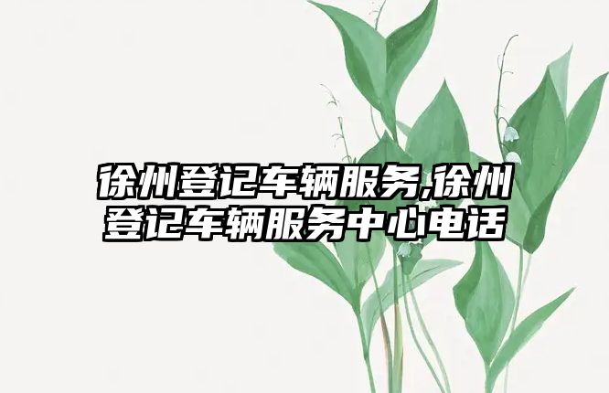 徐州登記車輛服務,徐州登記車輛服務中心電話