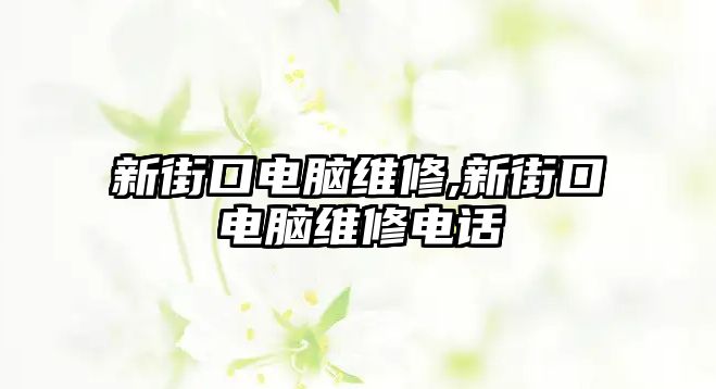 新街口電腦維修,新街口電腦維修電話