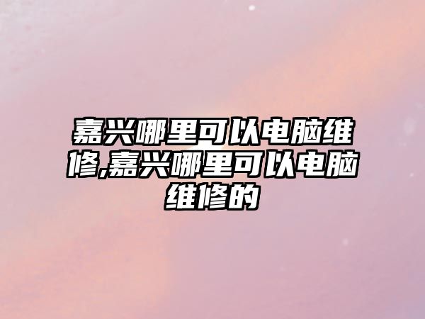 嘉興哪里可以電腦維修,嘉興哪里可以電腦維修的