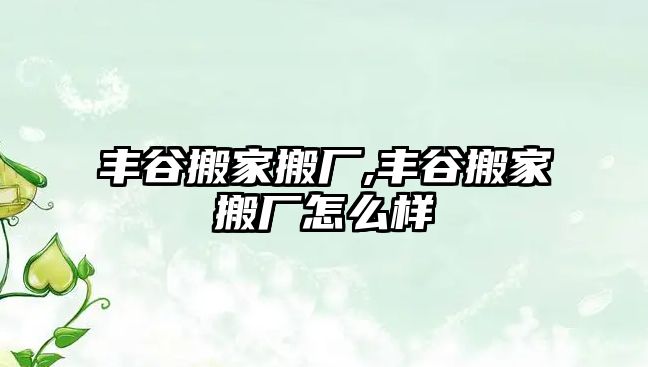 豐谷搬家搬廠,豐谷搬家搬廠怎么樣