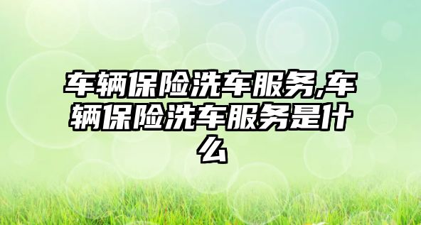 車輛保險洗車服務,車輛保險洗車服務是什么