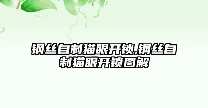 鋼絲自制貓眼開鎖,鋼絲自制貓眼開鎖圖解