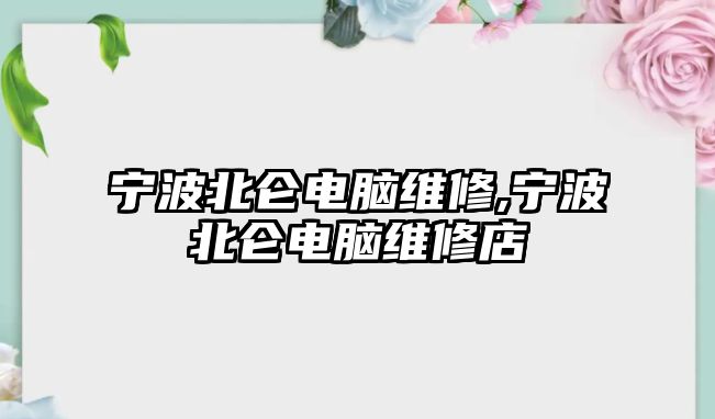 寧波北侖電腦維修,寧波北侖電腦維修店