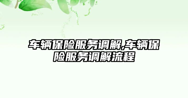 車輛保險服務調解,車輛保險服務調解流程