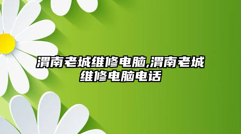 渭南老城維修電腦,渭南老城維修電腦電話