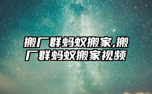 搬廠群螞蟻搬家,搬廠群螞蟻搬家視頻