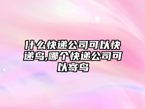 什么快遞公司可以快遞鳥,哪個(gè)快遞公司可以寄鳥