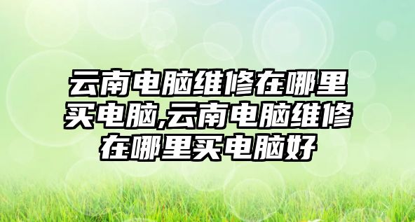 云南電腦維修在哪里買電腦,云南電腦維修在哪里買電腦好