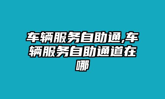 車輛服務自助通,車輛服務自助通道在哪