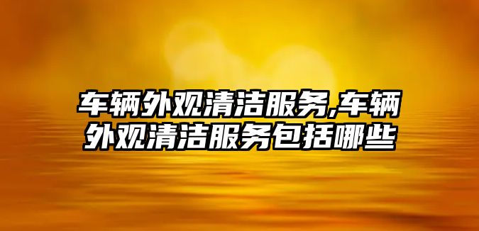 車輛外觀清潔服務(wù),車輛外觀清潔服務(wù)包括哪些