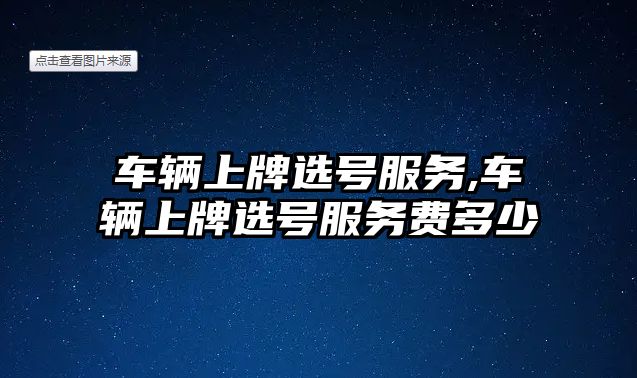 車輛上牌選號服務,車輛上牌選號服務費多少