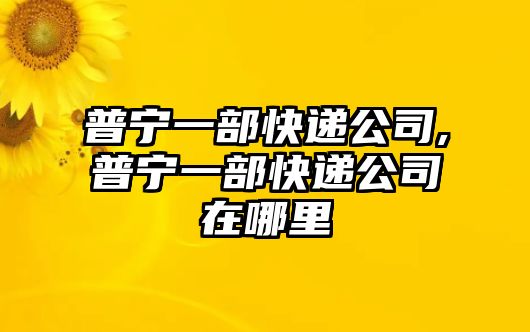 普寧一部快遞公司,普寧一部快遞公司在哪里