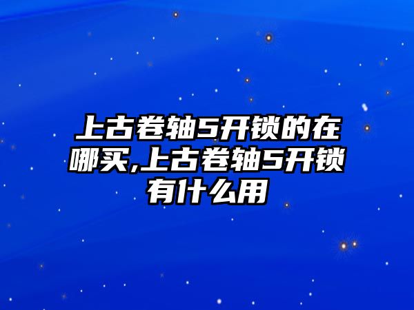 上古卷軸5開鎖的在哪買,上古卷軸5開鎖有什么用