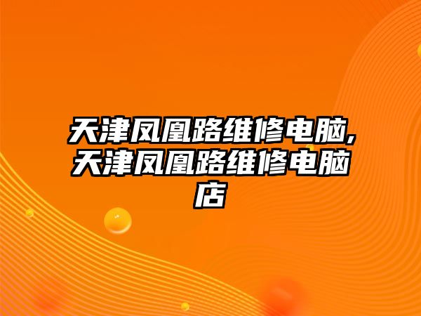 天津鳳凰路維修電腦,天津鳳凰路維修電腦店