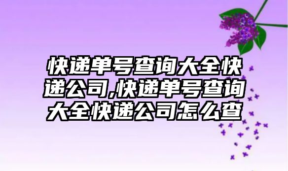 快遞單號(hào)查詢大全快遞公司,快遞單號(hào)查詢大全快遞公司怎么查