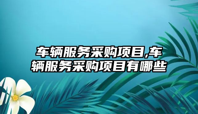 車輛服務采購項目,車輛服務采購項目有哪些