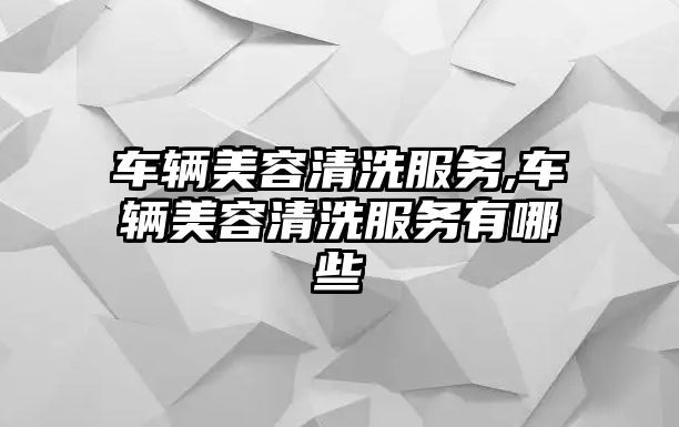 車輛美容清洗服務,車輛美容清洗服務有哪些