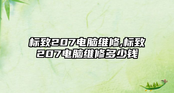 標致207電腦維修,標致207電腦維修多少錢