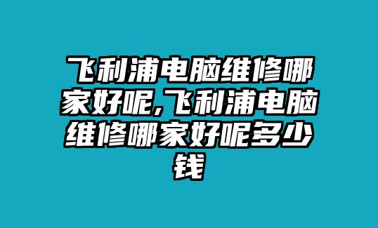 飛利浦電腦維修哪家好呢,飛利浦電腦維修哪家好呢多少錢