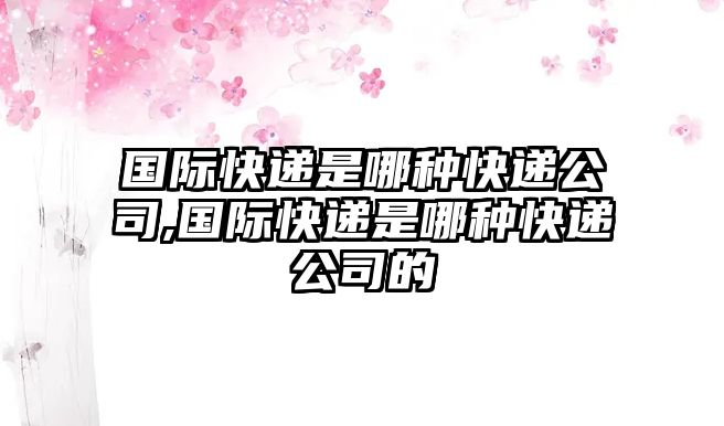 國際快遞是哪種快遞公司,國際快遞是哪種快遞公司的