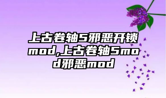 上古卷軸5邪惡開鎖mod,上古卷軸5mod邪惡mod