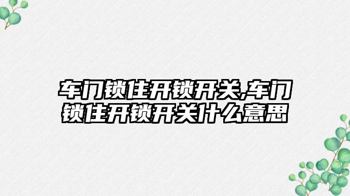 車門鎖住開鎖開關,車門鎖住開鎖開關什么意思