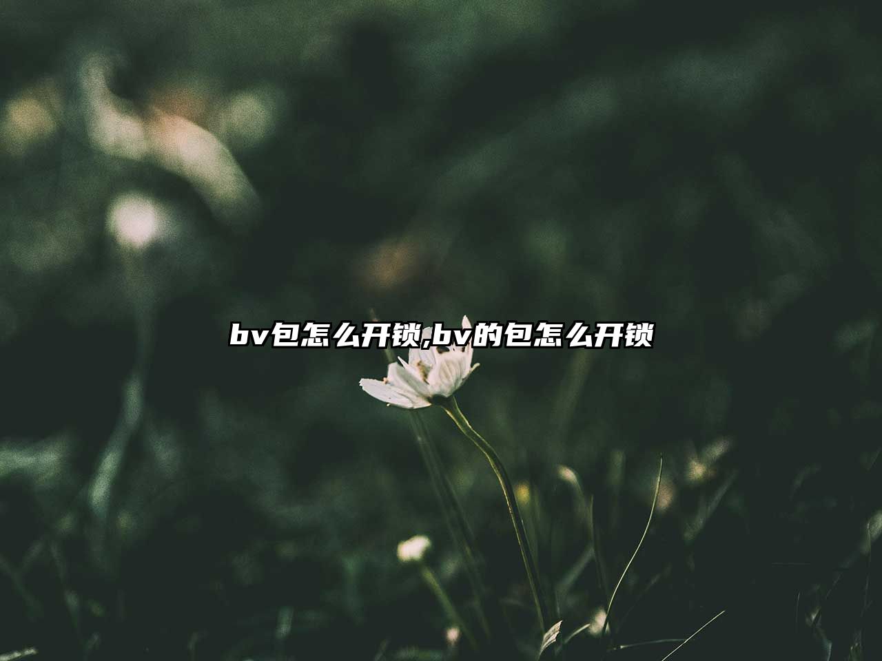 bv包怎么開鎖,bv的包怎么開鎖