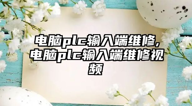 電腦plc輸入端維修,電腦plc輸入端維修視頻