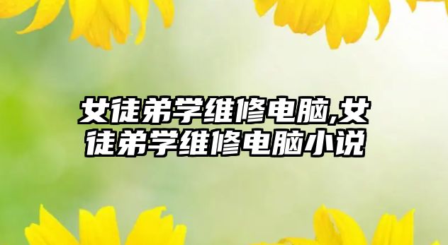 女徒弟學維修電腦,女徒弟學維修電腦小說