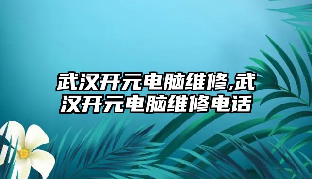 武漢開元電腦維修,武漢開元電腦維修電話